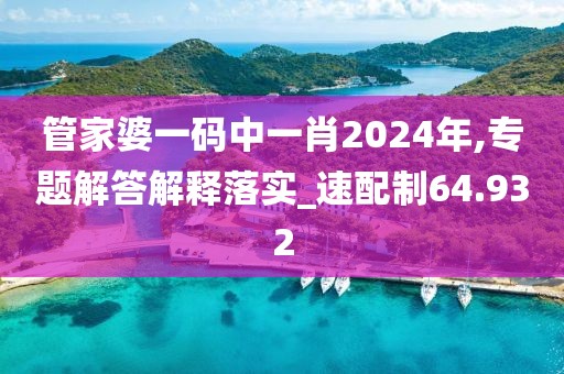 管家婆一码中一肖2024年,专题解答解释落实_速配制64.932