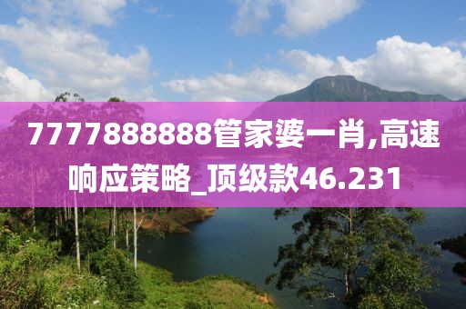 7777888888管家婆一肖,高速响应策略_顶级款46.231
