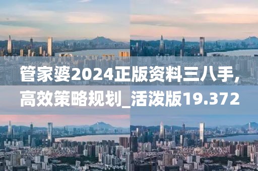 管家婆2024正版资料三八手,高效策略规划_活泼版19.372