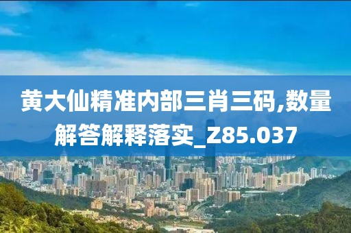 黄大仙精准内部三肖三码,数量解答解释落实_Z85.037