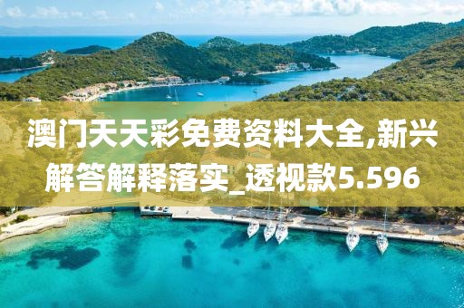澳门天天彩免费资料大全,新兴解答解释落实_透视款5.596