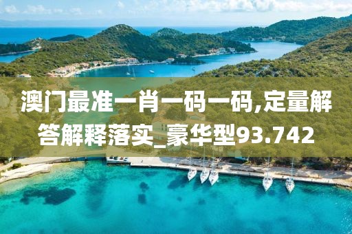 澳门最准一肖一码一码,定量解答解释落实_豪华型93.742