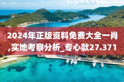 2024年正版资料免费大全一肖,实地考察分析_专心款27.371