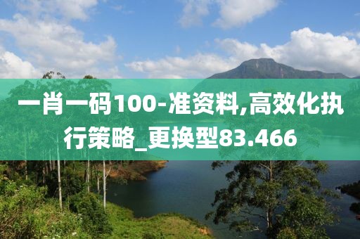 一肖一码100-准资料,高效化执行策略_更换型83.466