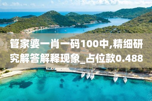 管家婆一肖一码100中,精细研究解答解释现象_占位款0.488