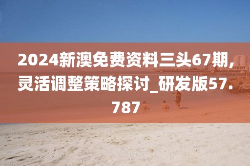 2024新澳免费资料三头67期,灵活调整策略探讨_研发版57.787