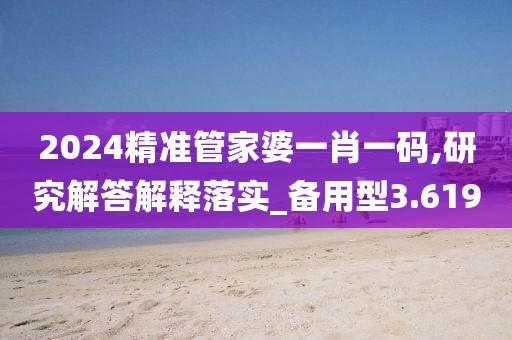 2024精准管家婆一肖一码,研究解答解释落实_备用型3.619