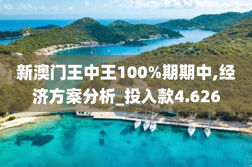 新澳门王中王100%期期中,经济方案分析_投入款4.626