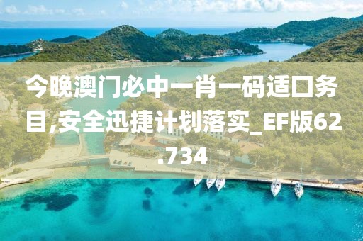 今晚澳门必中一肖一码适囗务目,安全迅捷计划落实_EF版62.734