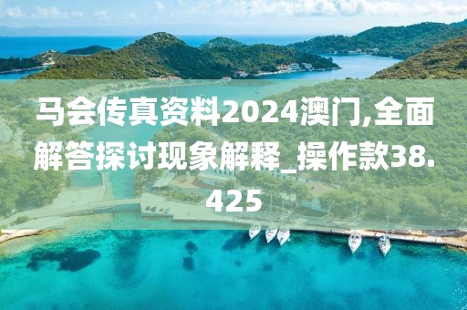 马会传真资料2024澳门,全面解答探讨现象解释_操作款38.425