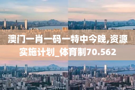 澳门一肖一码一特中今晚,资源实施计划_体育制70.562