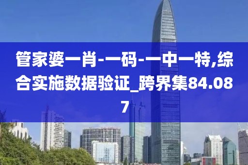 管家婆一肖-一码-一中一特,综合实施数据验证_跨界集84.087