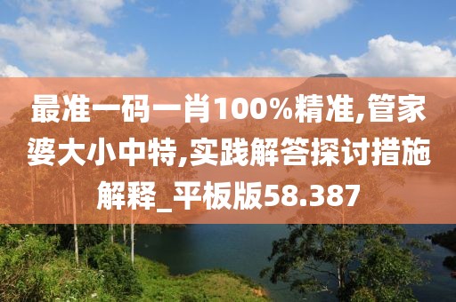 最准一码一肖100%精准,管家婆大小中特,实践解答探讨措施解释_平板版58.387