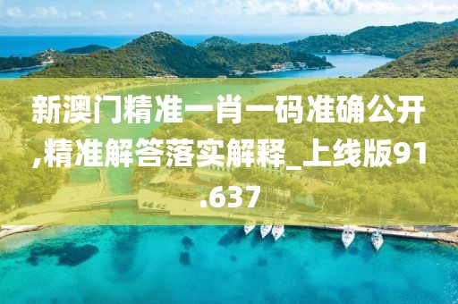 新澳门精准一肖一码准确公开,精准解答落实解释_上线版91.637