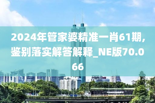 2024年管家婆精准一肖61期,鉴别落实解答解释_NE版70.066