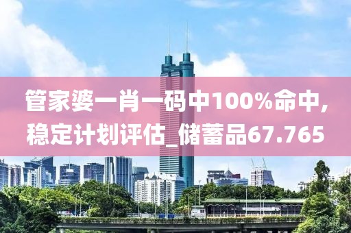 管家婆一肖一码中100%命中,稳定计划评估_储蓄品67.765