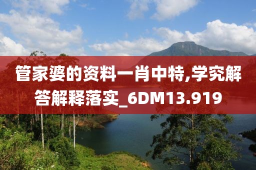 管家婆的资料一肖中特,学究解答解释落实_6DM13.919