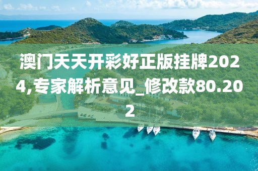 澳门天天开彩好正版挂牌2024,专家解析意见_修改款80.202