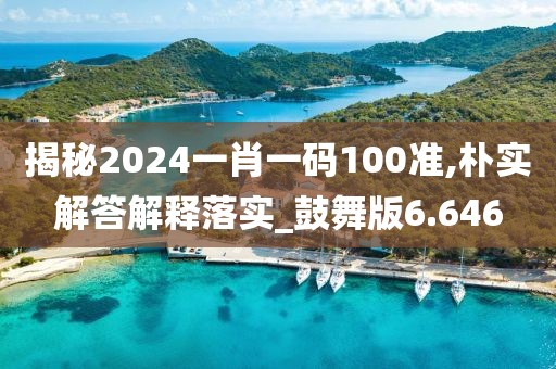 揭秘2024一肖一码100准,朴实解答解释落实_鼓舞版6.646