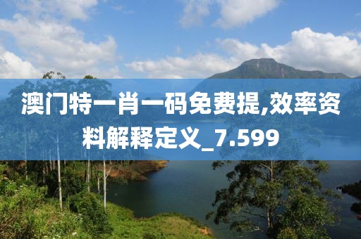 澳门特一肖一码免费提,效率资料解释定义_7.599