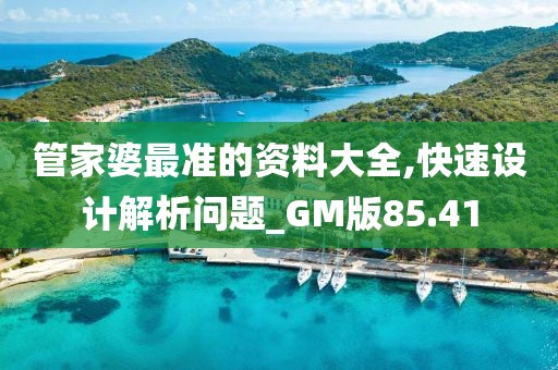 管家婆最准的资料大全,快速设计解析问题_GM版85.41