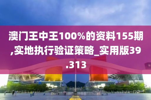 澳门王中王100%的资料155期,实地执行验证策略_实用版39.313