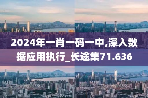 2024年一肖一码一中,深入数据应用执行_长途集71.636