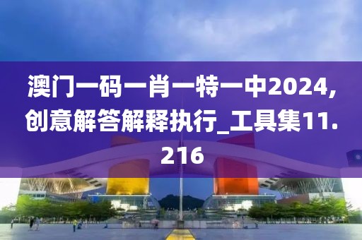 澳门一码一肖一特一中2024,创意解答解释执行_工具集11.216