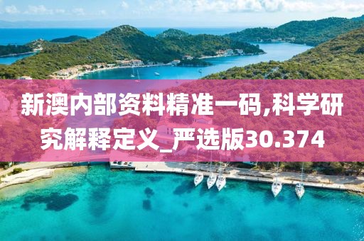 新澳内部资料精准一码,科学研究解释定义_严选版30.374