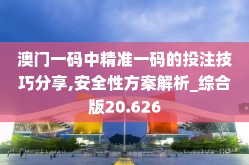 澳门一码中精准一码的投注技巧分享,安全性方案解析_综合版20.626