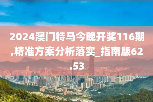 2024澳门特马今晚开奖116期,精准方案分析落实_指南版62.53
