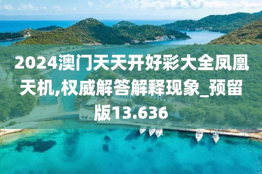 2024澳门天天开好彩大全凤凰天机,权威解答解释现象_预留版13.636