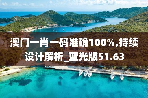 澳门一肖一码准确100%,持续设计解析_蓝光版51.63