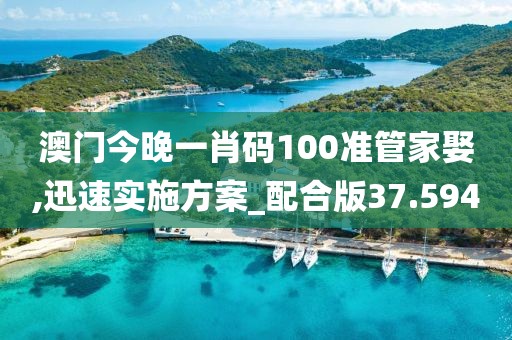 澳门今晚一肖码100准管家娶,迅速实施方案_配合版37.594