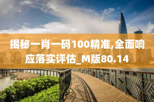 揭秘一肖一码100精准,全面响应落实评估_M版80.14