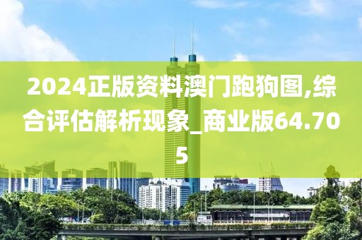 2024正版资料澳门跑狗图,综合评估解析现象_商业版64.705
