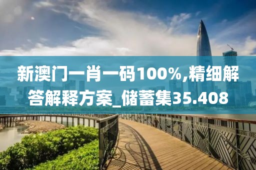 新澳门一肖一码100%,精细解答解释方案_储蓄集35.408