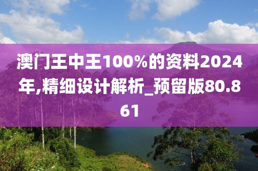 澳门王中王100%的资料2024年,精细设计解析_预留版80.861