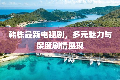 韩栋最新电视剧，多元魅力与深度剧情展现