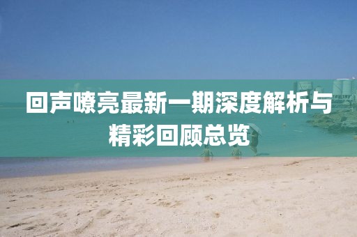 回声嘹亮最新一期深度解析与精彩回顾总览