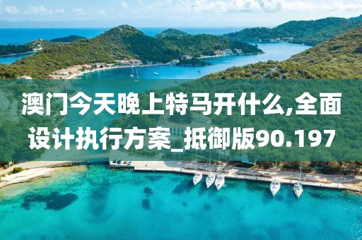 澳门今天晚上特马开什么,全面设计执行方案_抵御版90.197