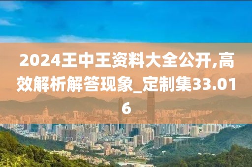 2024王中王资料大全公开,高效解析解答现象_定制集33.016
