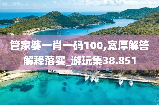 管家婆一肖一码100,宽厚解答解释落实_游玩集38.851