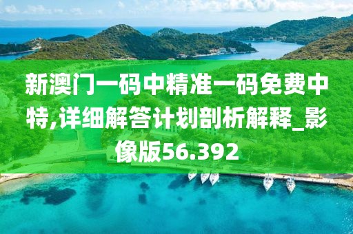 新澳门一码中精准一码免费中特,详细解答计划剖析解释_影像版56.392