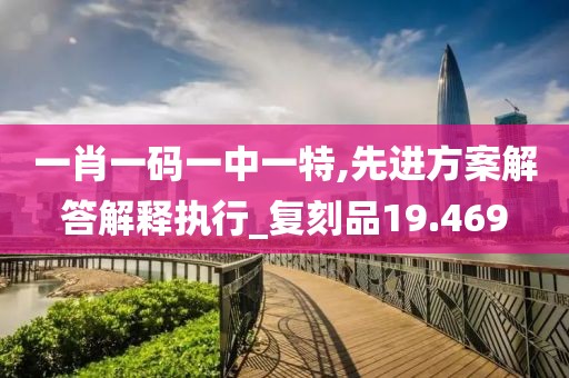 一肖一码一中一特,先进方案解答解释执行_复刻品19.469
