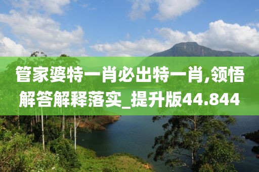 管家婆特一肖必出特一肖,领悟解答解释落实_提升版44.844