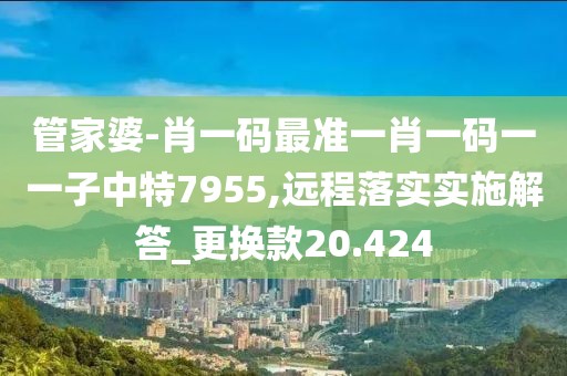 管家婆-肖一码最准一肖一码一一子中特7955,远程落实实施解答_更换款20.424