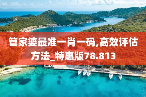 管家婆最准一肖一码,高效评估方法_特惠版78.813