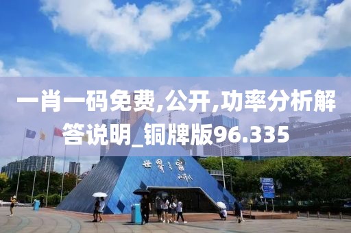 一肖一码免费,公开,功率分析解答说明_铜牌版96.335