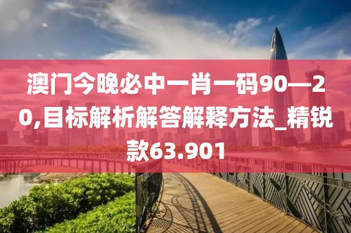 澳门今晚必中一肖一码90—20,目标解析解答解释方法_精锐款63.901
